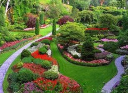 2 Days 1 Night Coimbatore to Ooty Package