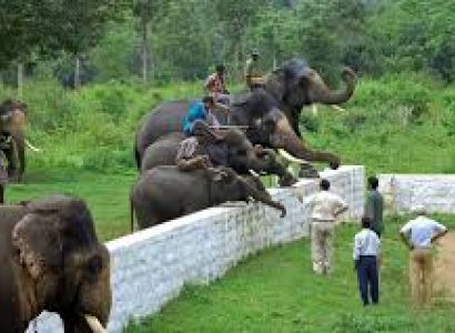 4 Days 3 Nights Ooty, Mysore, Coorg