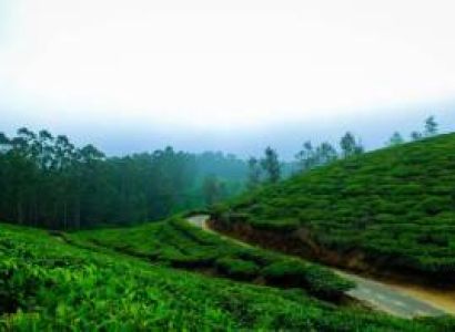 3D 2N Mysore Coorg Tour