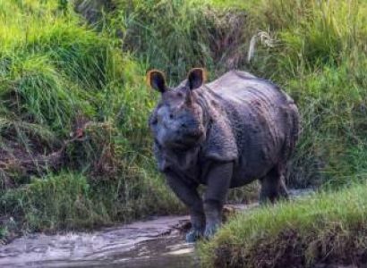 Explore Nepal's Best with a 9 Nights 10 Days Tour