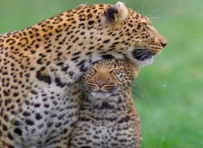 2-day Tanzania safari