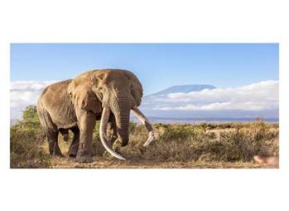 3 Day 2 Night Arusha Safari