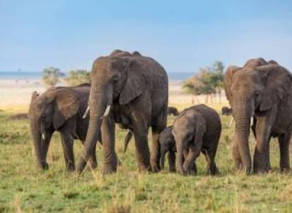 5 Days Safari – The Best of Tanzania