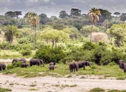 5 Days Northern Tanzania Safari Tour