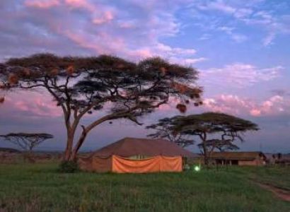 4 Days Tented Camp - Lodging Safari Tout