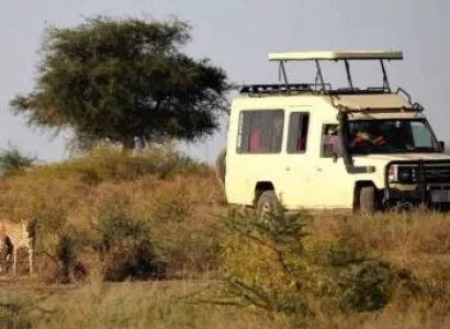 4 Days Serengeti Budget Safari Tour