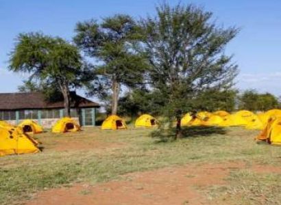 4 Days Northern Circuit Camping Safari Tour