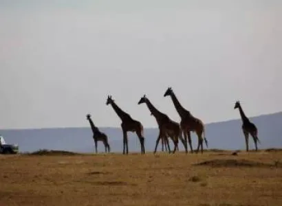 3-Day Safari Two Nights In Serengeti - Ngorongoro Crater Tour