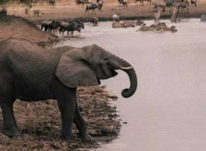 2-Day Epic Safari Best Of Tarangire And Manyara Tour