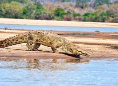 2 Days Mikumi Affordable Southern Safari Tour