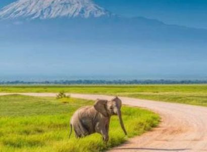 5 Day Amboseli Finest And Oltukai Lodge Safari In Kenya Tour