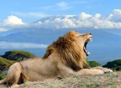 5 Days Amboseli National Park Safari Holiday Tour