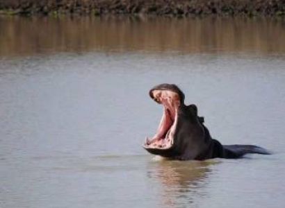 7 Days Safari Tanzania - Kenya Safari Tour