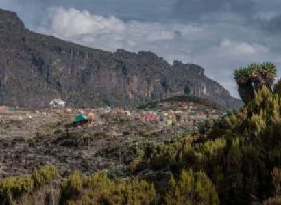 7 Days Kilimanjaro Trekking - Lemosho Route Tour