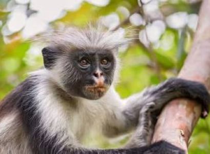 3 Days Zanzibar Beach Holiday Tour