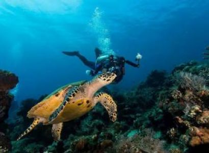 5 Days Zanzibar Beach Holiday Tour