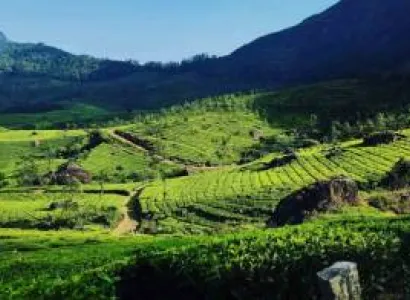 2 Nights/3Days Chikamagalur Tour Package