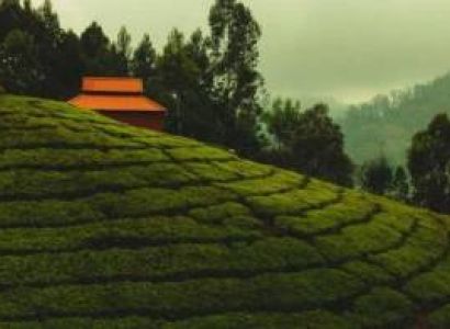 4N 5Days Wayanad Tour