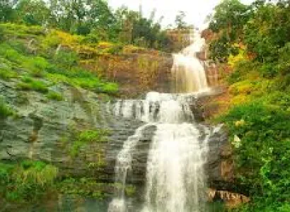 2 nights 3 days Munnar