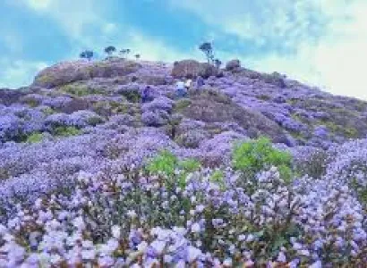 2 nights 3 days Munnar