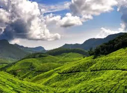 2 nights 3 days Munnar