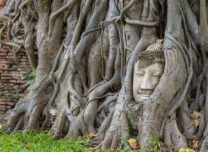 7 Nights 8 Days Varanasi Tour