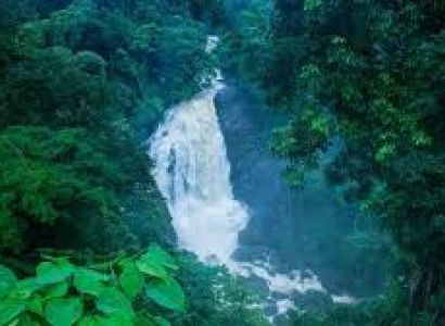 5 Nights 6 Days Munnar