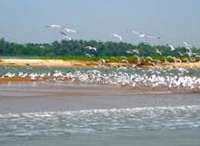 3 Nights 4 Days  Puri Bhubaneshwar