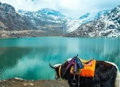 Gangtok and Darjeeling 4nights 5 Days