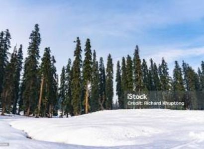 Megnificent Kashmir Trip 6 Nights 7 Days