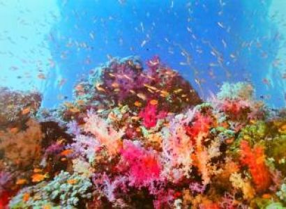 Magical Trip To Andaman