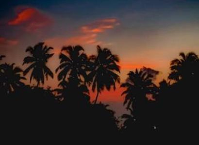 3 Nights 4 Days Discover Delta's Mystery Tour Package....