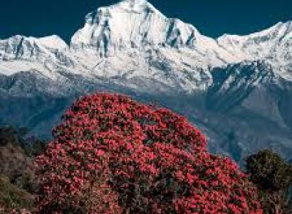 10 Nights Annapurna Base Camp Tour