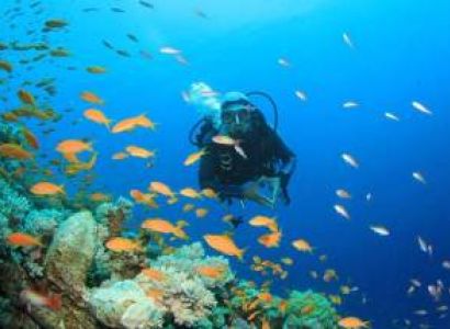 Goa Monsoon Trip  with Flight