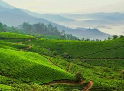 6 Nights - 7 Days Manali and Jibhi Tour