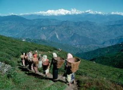 6 Nights - 7 Days Sikkim Tour