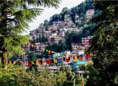 Dharamshala Mcleodganj Triund Trek Package