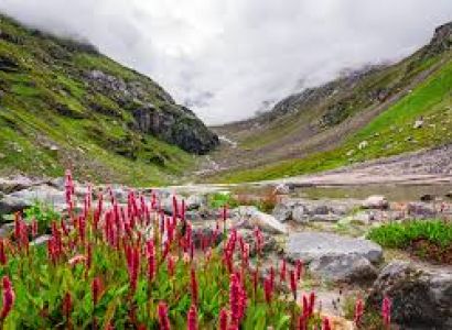 HAMPTA PASS TREK - MANALI 2024