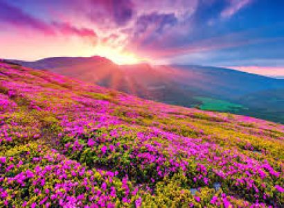 Valley of Flowers with Hemkund Sahib 2024