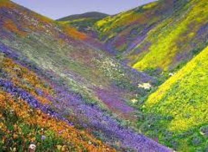 Valley of Flowers with Hemkund Sahib 2024