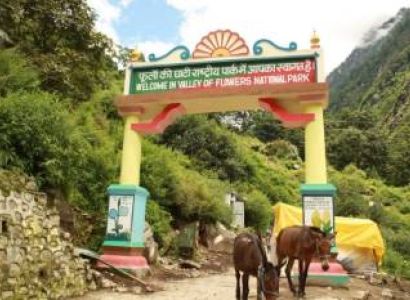 Valley of Flowers with Hemkund Sahib 2024