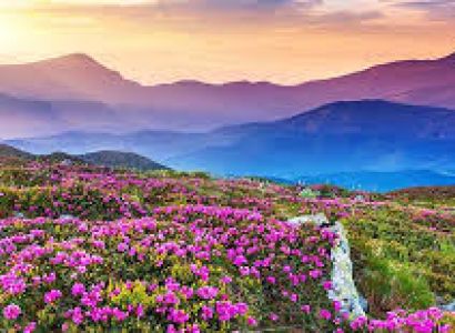 Valley of Flowers with Hemkund Sahib 2024