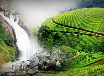 Munnar- Thekkady- Kovalam- Alleppey House Boat Tour