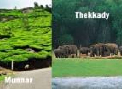 Munnar- Thekkady-  Alleppey Tour