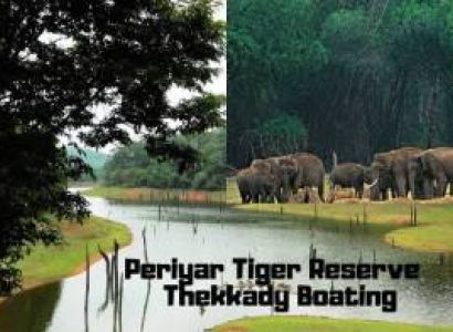 Munnar- Thekkady-  Alleppey Tour