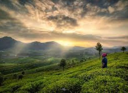 Explore Munnar & Thekkady  Package  4 days