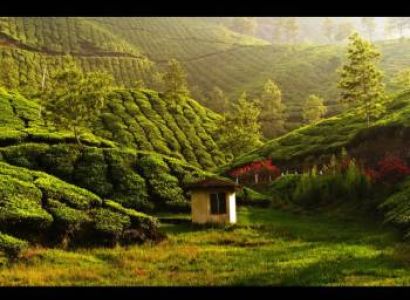 Explore Munnar & Thekkady  Package  4 days