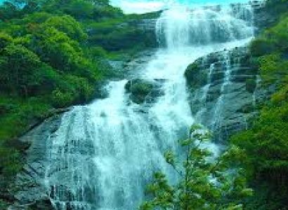 Munnar- Thekkady- Alleppey & Cochin Tour
