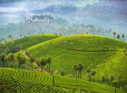 Munnar- Thekkady-Madurai-Rameshwaram-Kanyakumari- -Kovalam-- Alleppey cochin