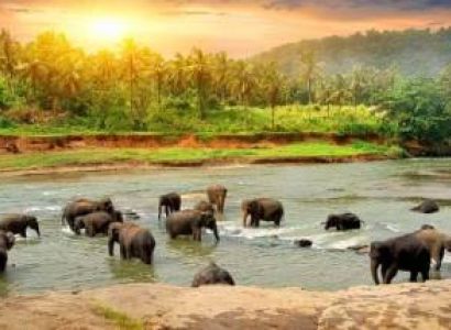 Munnar- Thekkady-Madurai-Rameshwaram-Kanyakumari- -Kovalam-- Alleppey cochin